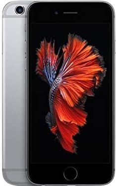 iPhone 6